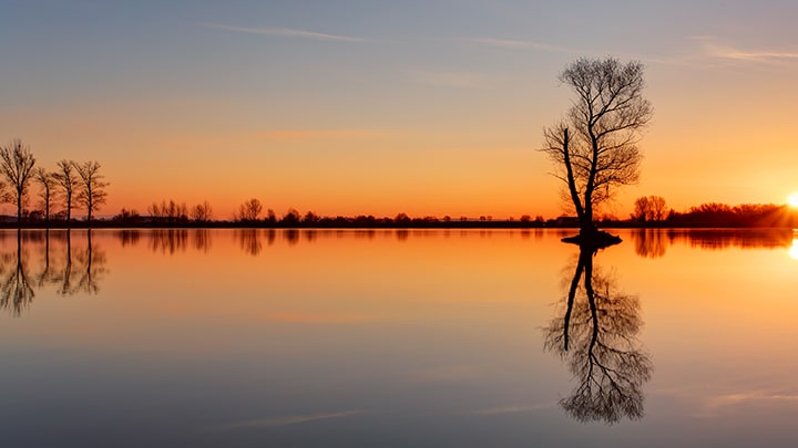 tree reflecting in calm lake at sunset